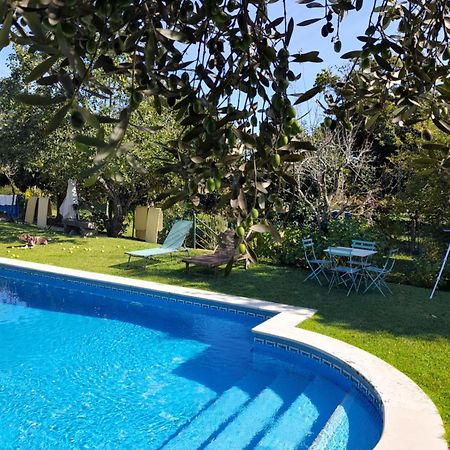 Quinta Da Mainha - Charming Houses - Escape To Nature براغا المظهر الخارجي الصورة