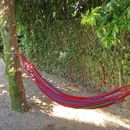 Quinta Da Mainha - Charming Houses - Escape To Nature براغا المظهر الخارجي الصورة