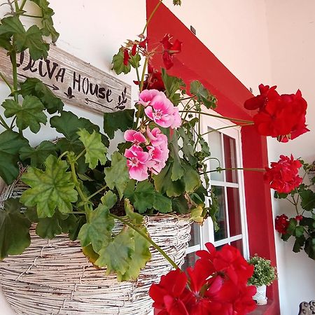 Quinta Da Mainha - Charming Houses - Escape To Nature براغا المظهر الخارجي الصورة