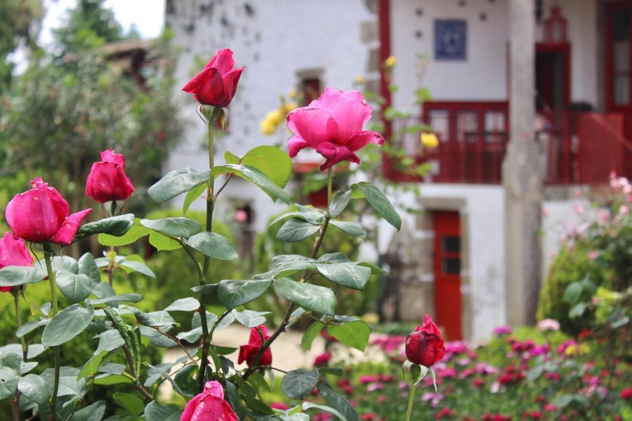 Quinta Da Mainha - Charming Houses - Escape To Nature براغا المظهر الخارجي الصورة