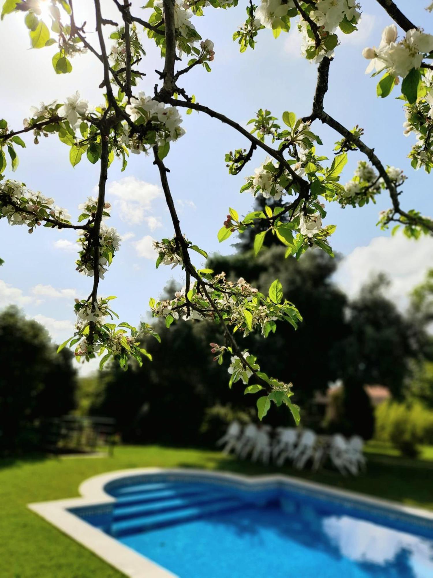 Quinta Da Mainha - Charming Houses - Escape To Nature براغا المظهر الخارجي الصورة