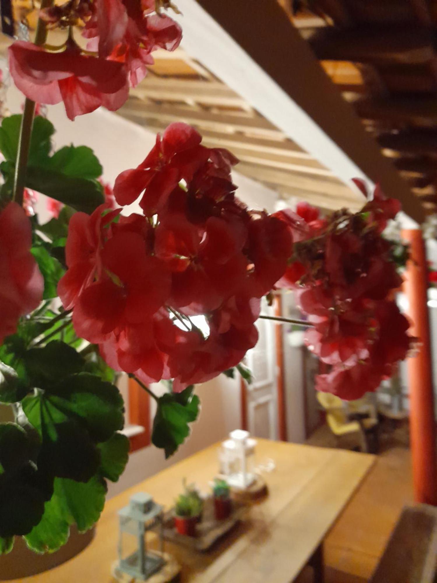 Quinta Da Mainha - Charming Houses - Escape To Nature براغا المظهر الخارجي الصورة