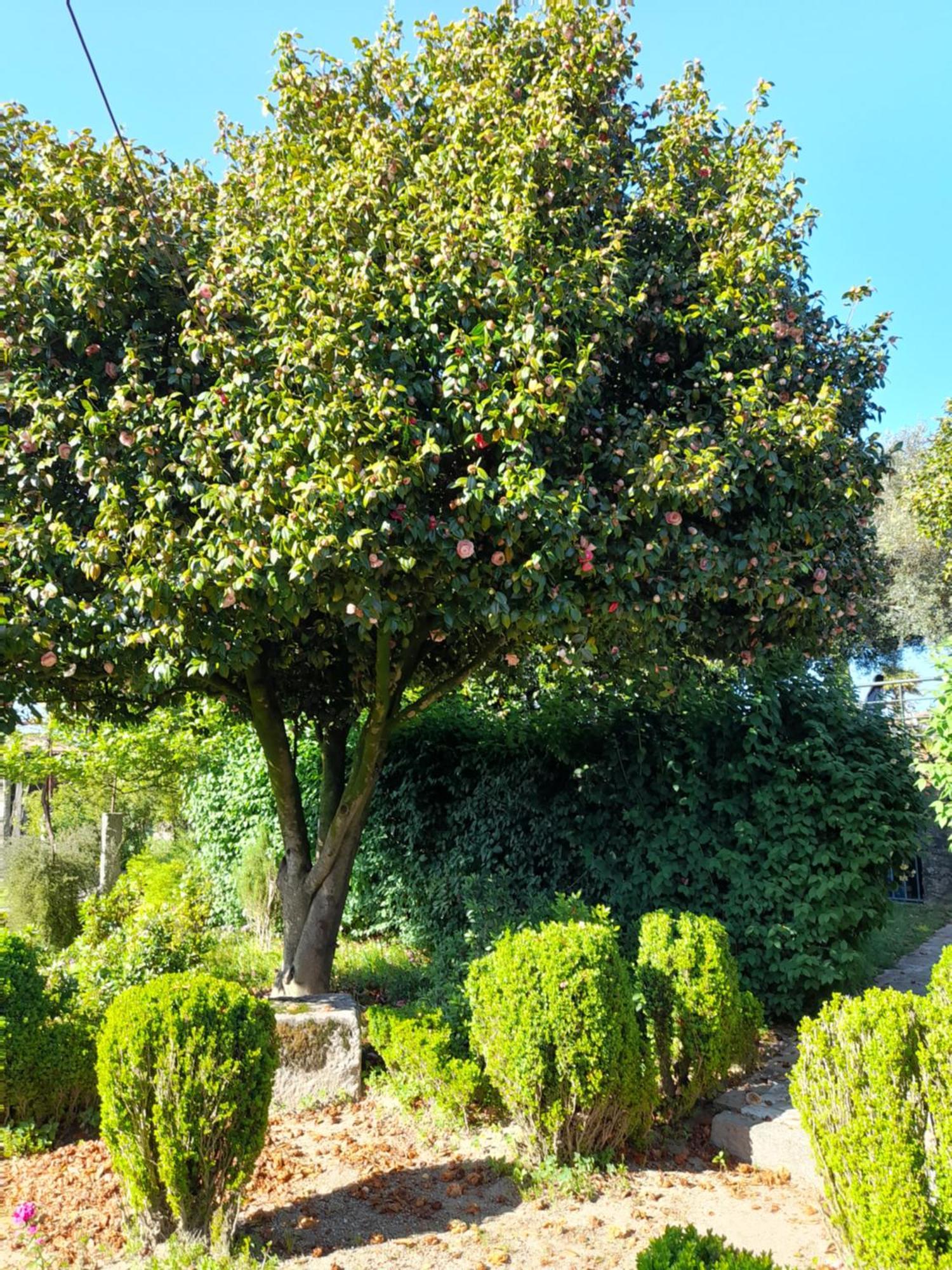 Quinta Da Mainha - Charming Houses براغا المظهر الخارجي الصورة