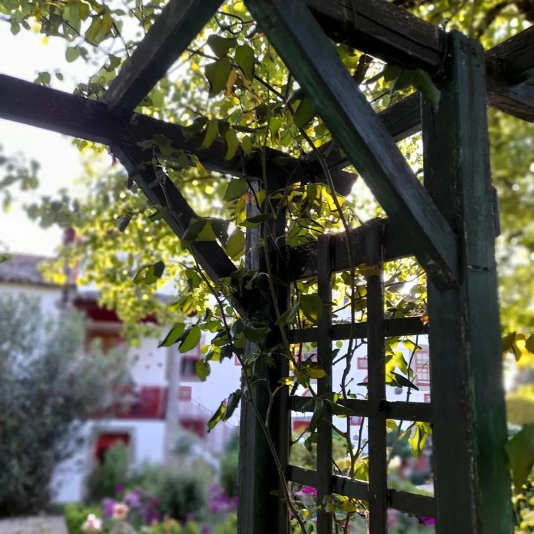 Quinta Da Mainha - Charming Houses - Escape To Nature براغا المظهر الخارجي الصورة
