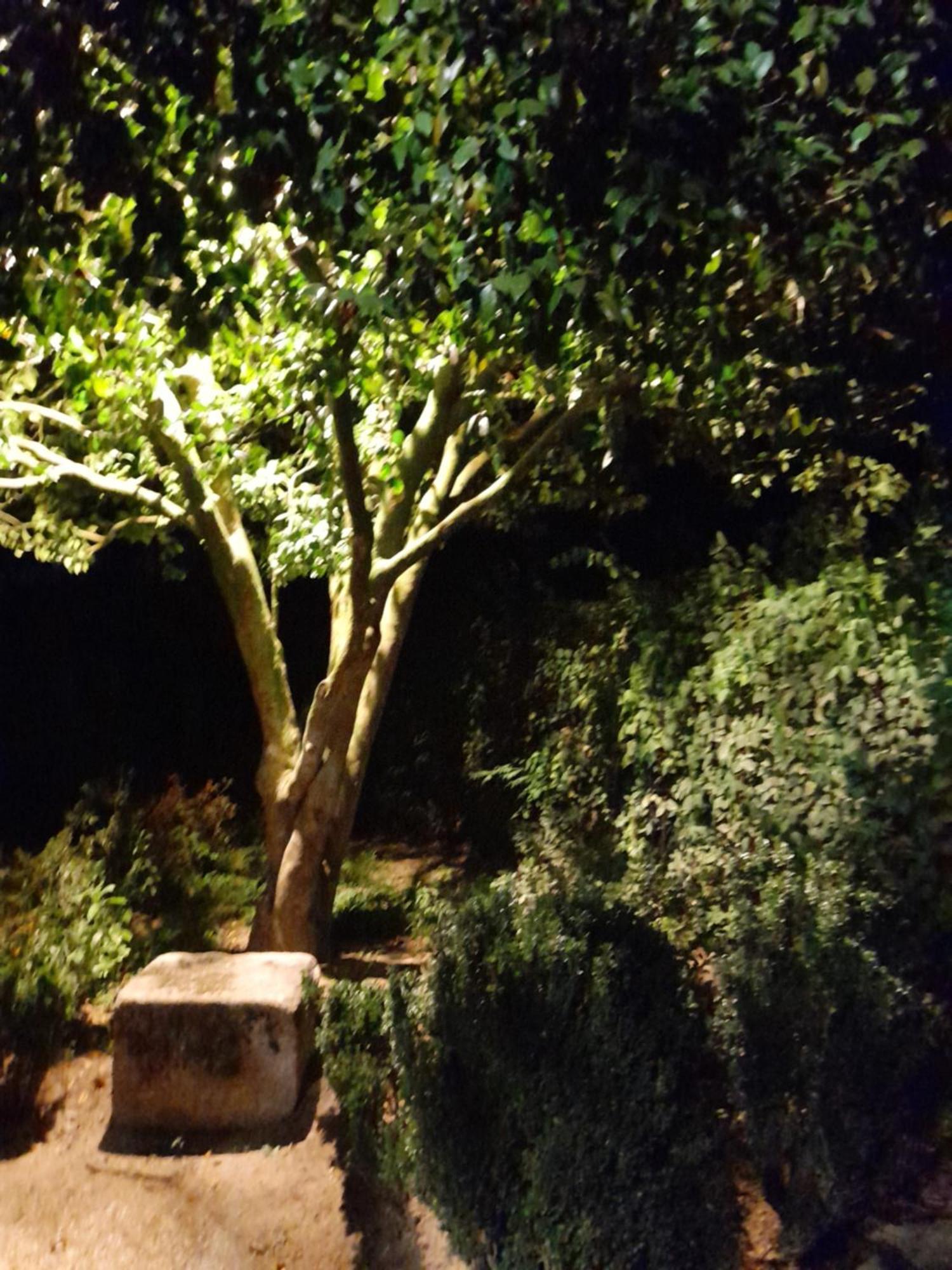 Quinta Da Mainha - Charming Houses - Escape To Nature براغا المظهر الخارجي الصورة