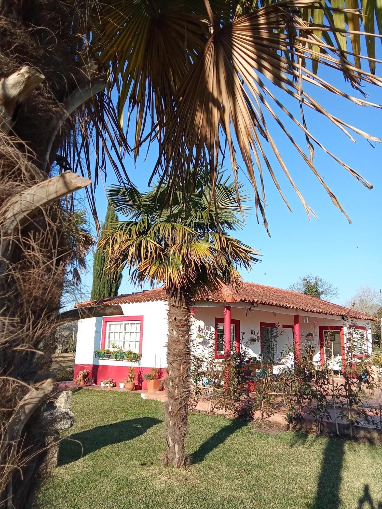 Quinta Da Mainha - Charming Houses براغا المظهر الخارجي الصورة