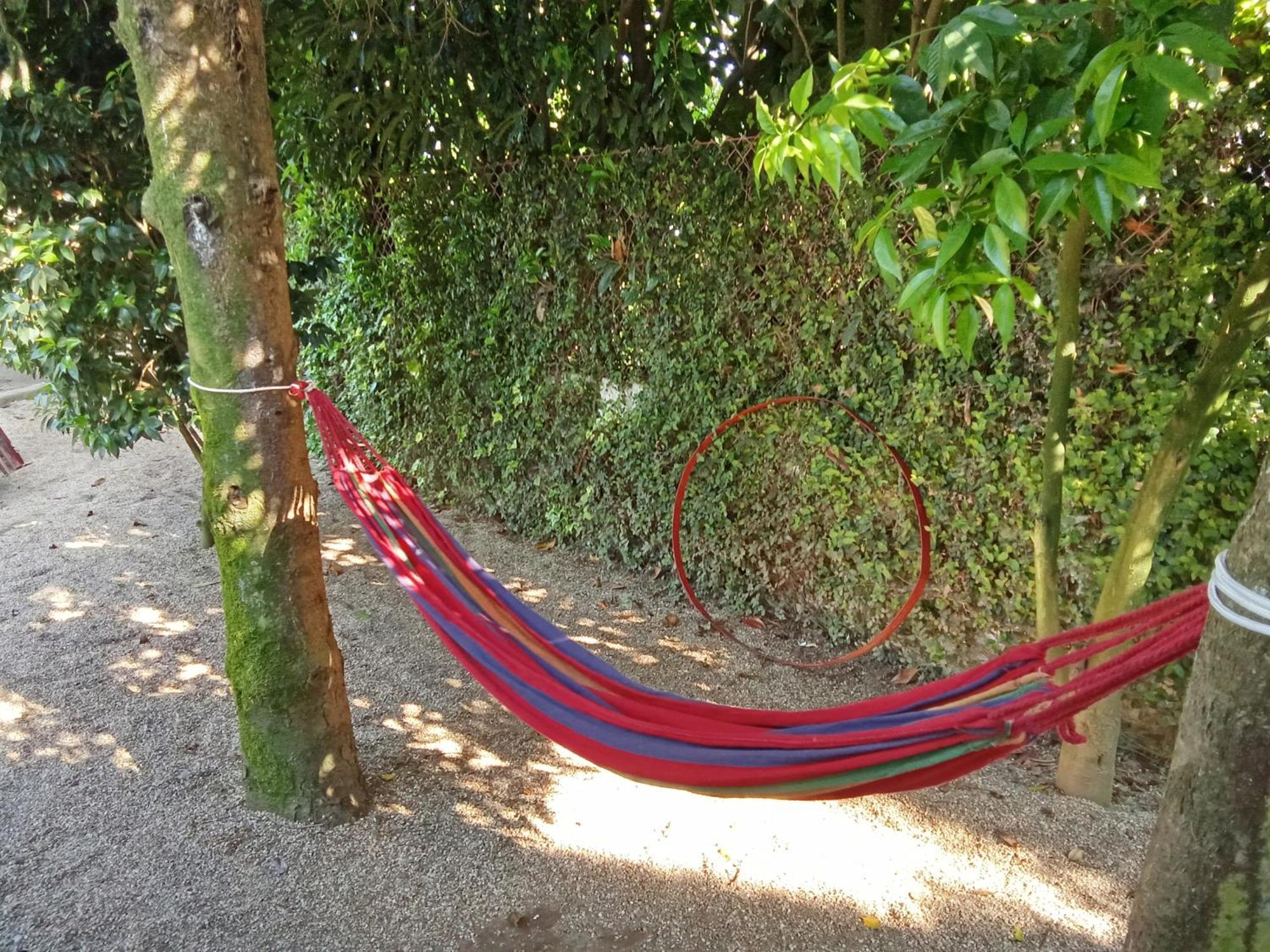Quinta Da Mainha - Charming Houses - Escape To Nature براغا المظهر الخارجي الصورة