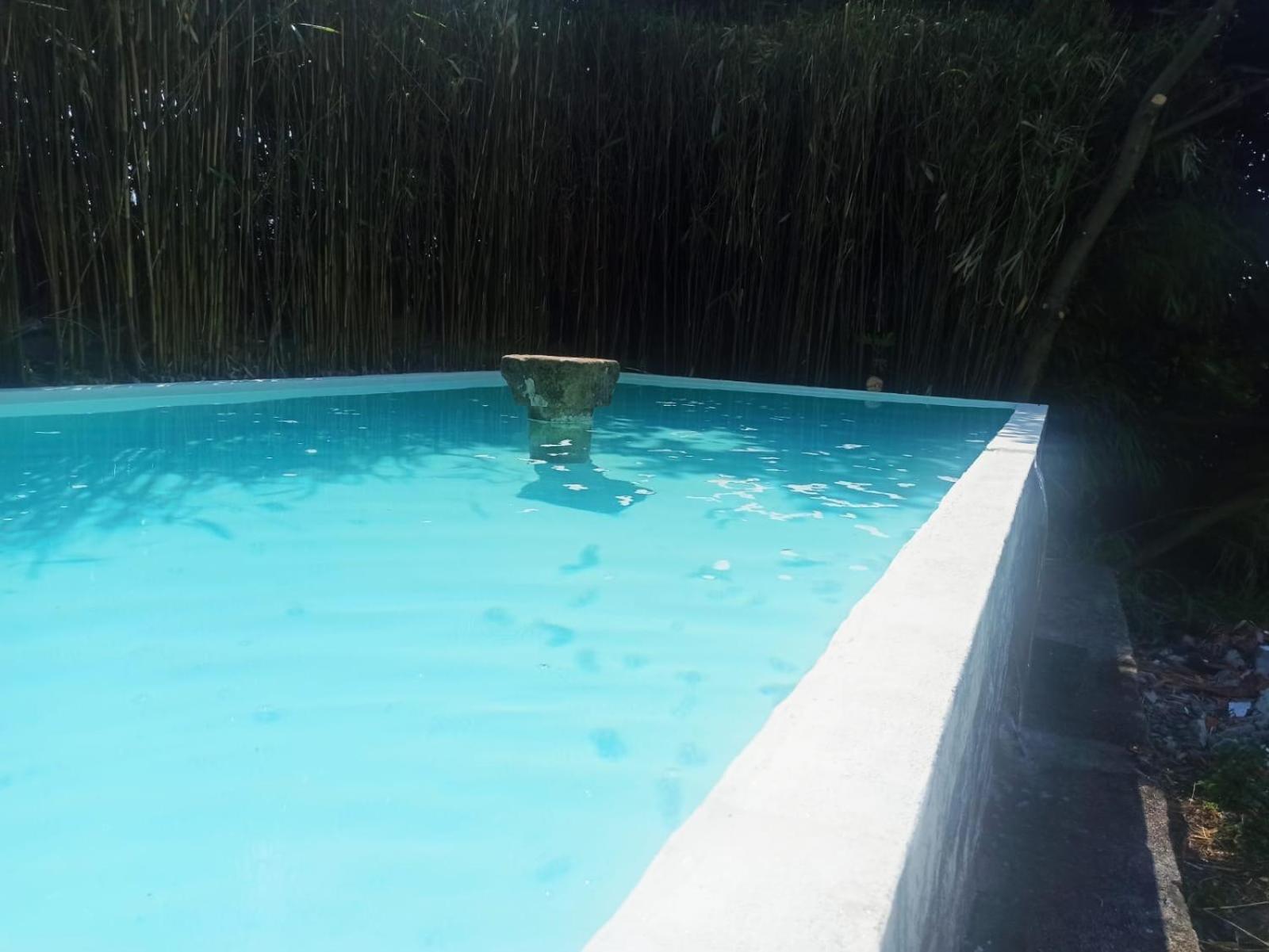 Quinta Da Mainha - Charming Houses - Escape To Nature براغا المظهر الخارجي الصورة