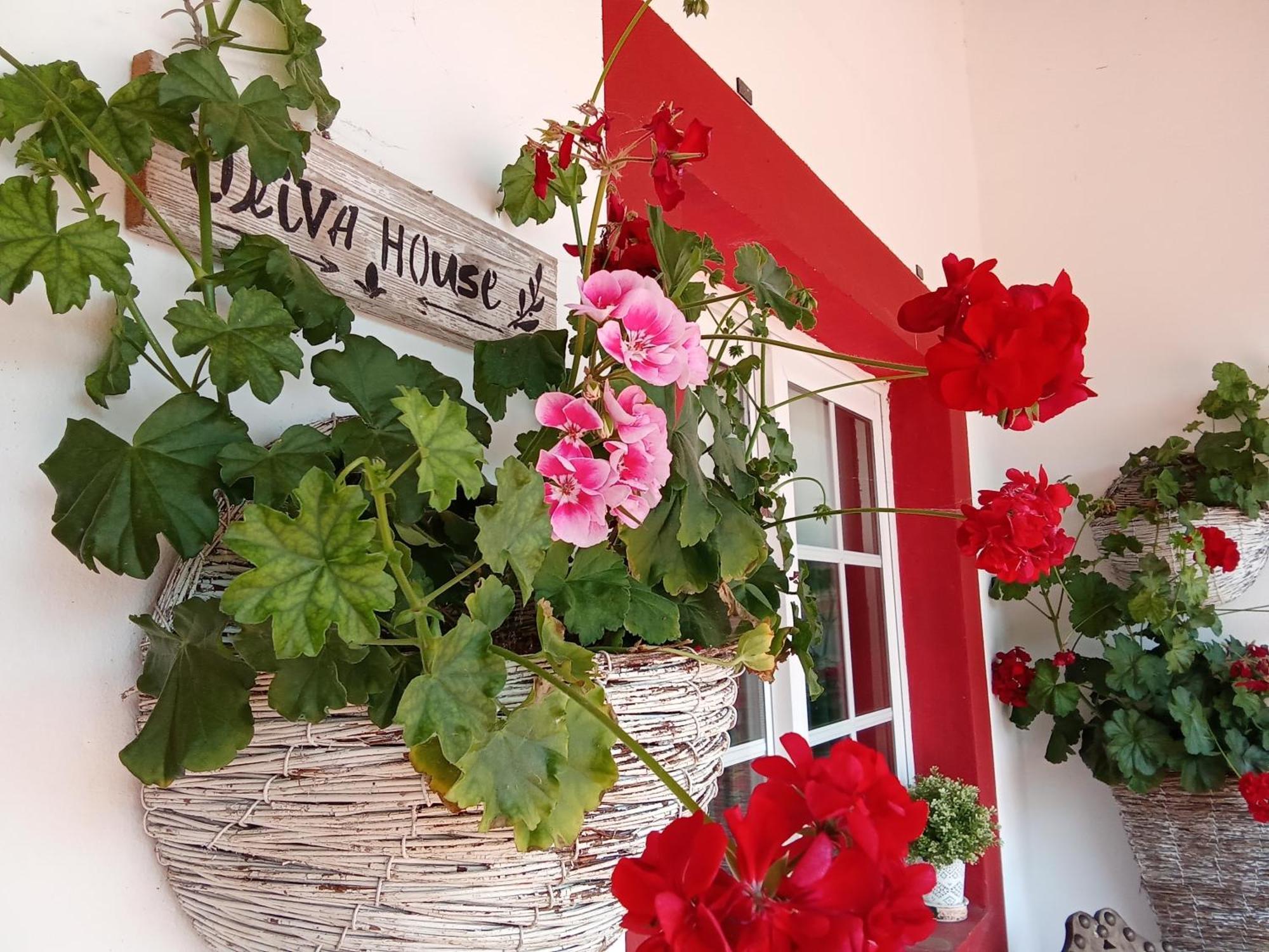 Quinta Da Mainha - Charming Houses - Escape To Nature براغا المظهر الخارجي الصورة