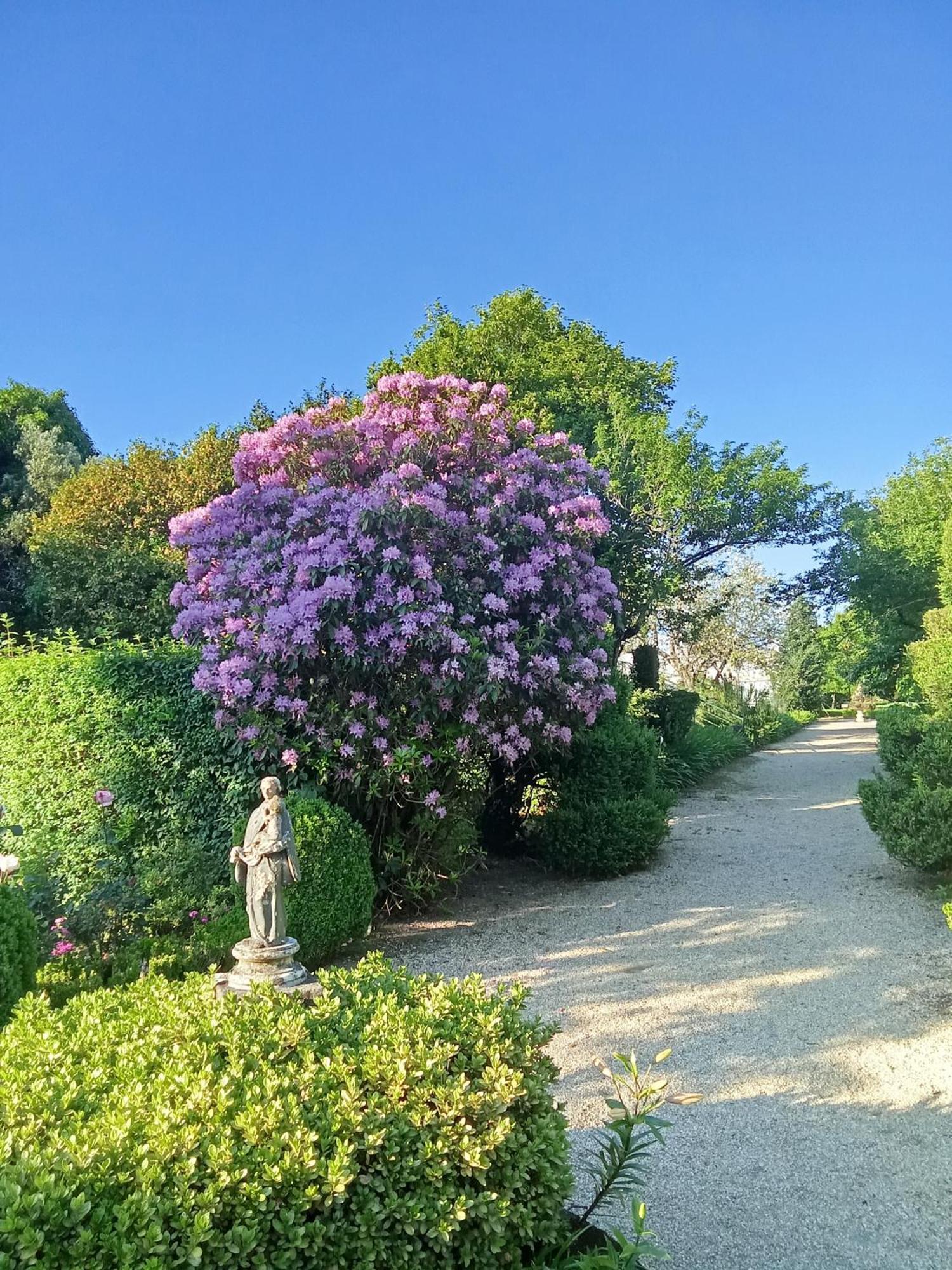 Quinta Da Mainha - Charming Houses - Escape To Nature براغا المظهر الخارجي الصورة
