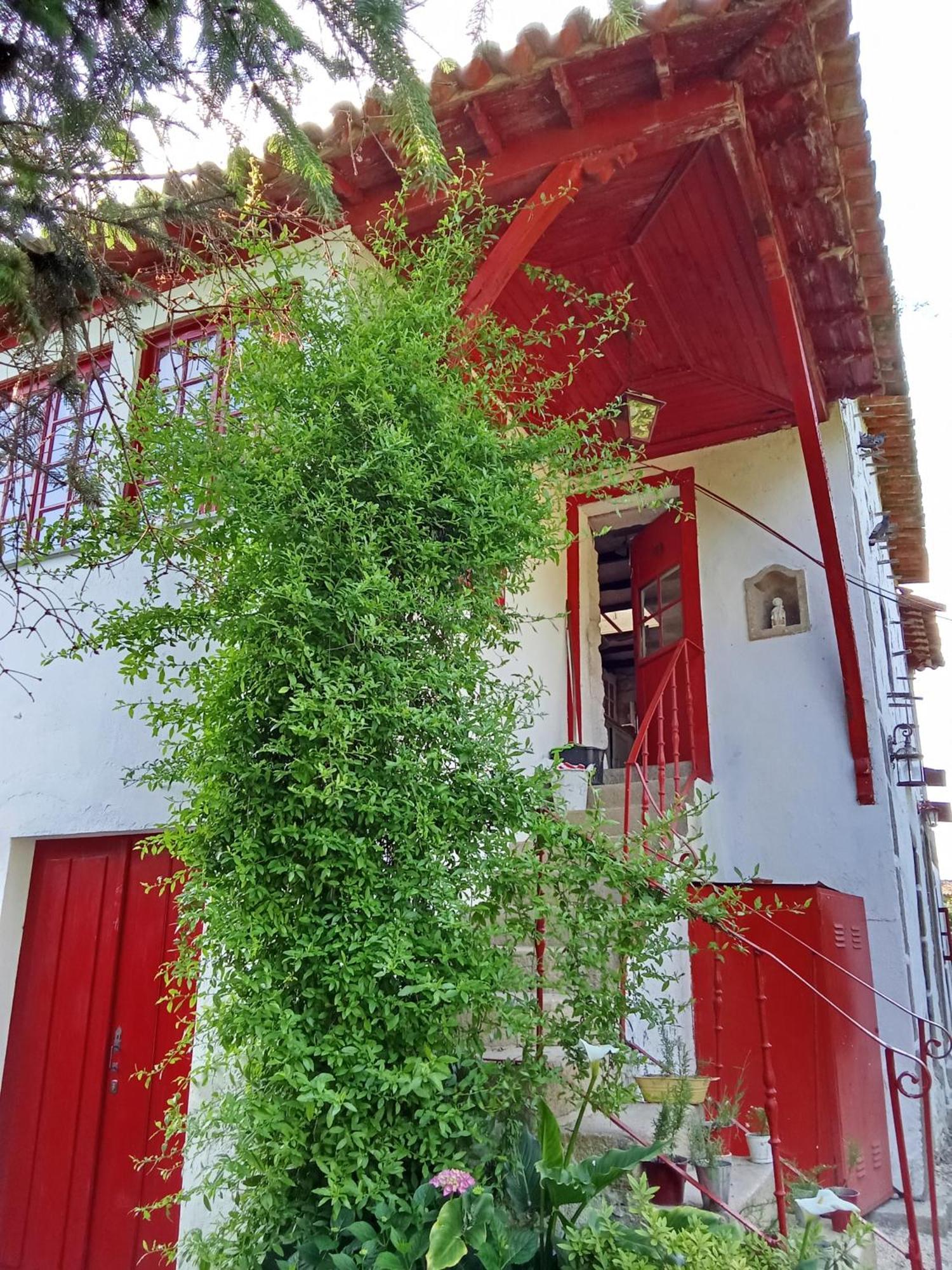 Quinta Da Mainha - Charming Houses - Escape To Nature براغا المظهر الخارجي الصورة